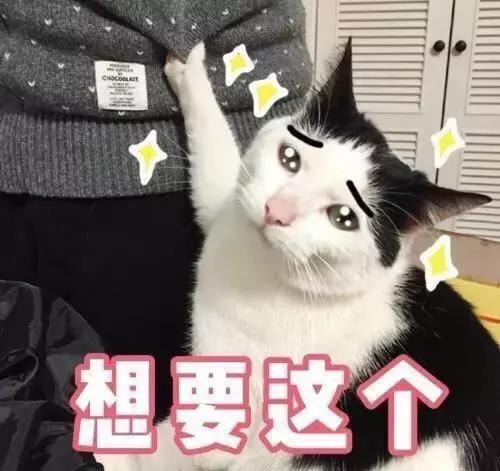 从杨幂倪妮再到郭碧婷,从杨幂袁姗姗到吴谨言