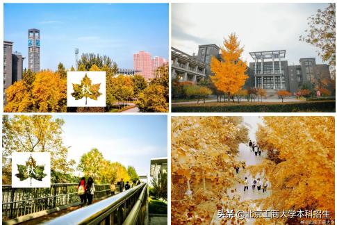 北京大学高颜值学霸,中国十大景色最美的大学