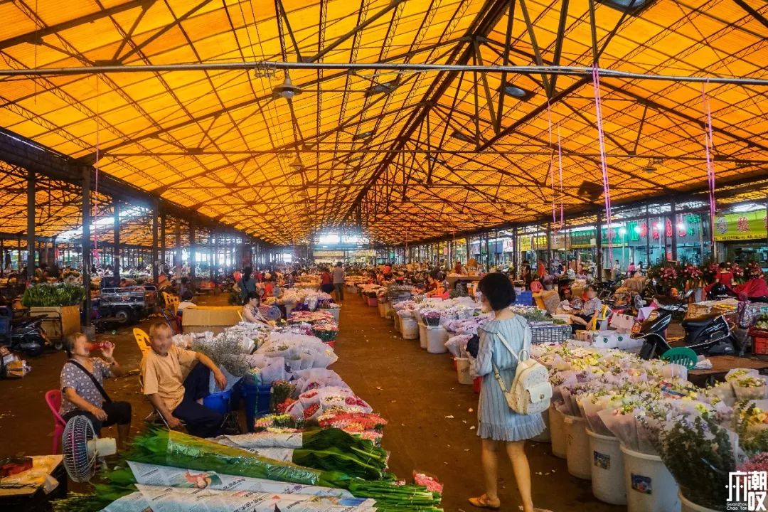 广州最大的花卉市场有哪些店,广州最便宜的花卉交易市场