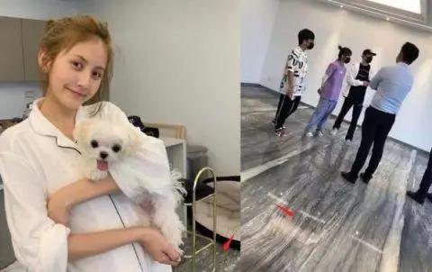 王思聪网红个人资料,王思聪两千万签约的网红是谁