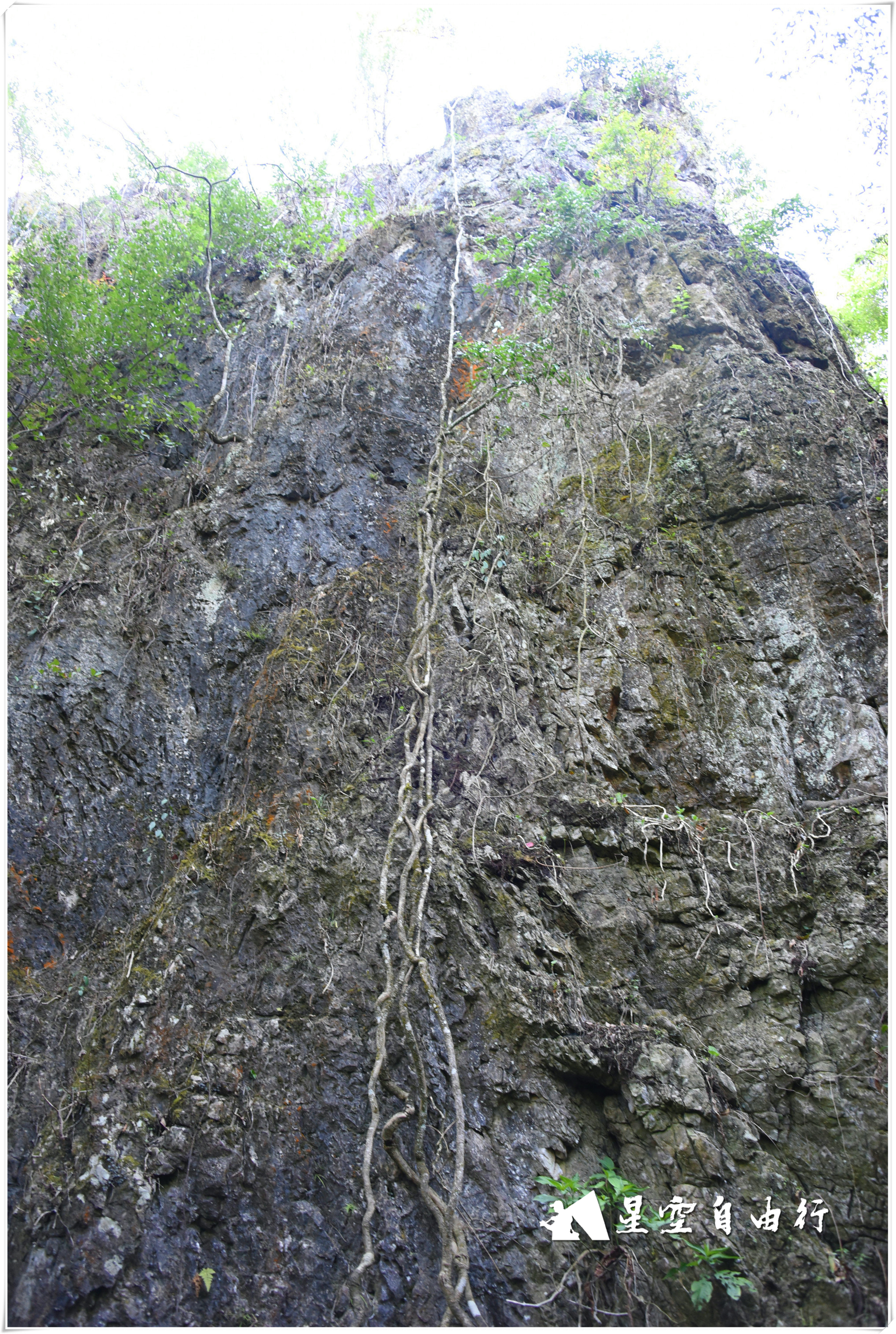 阿细跳月景点介绍,弥勒第十一届阿细跳月民族节门票