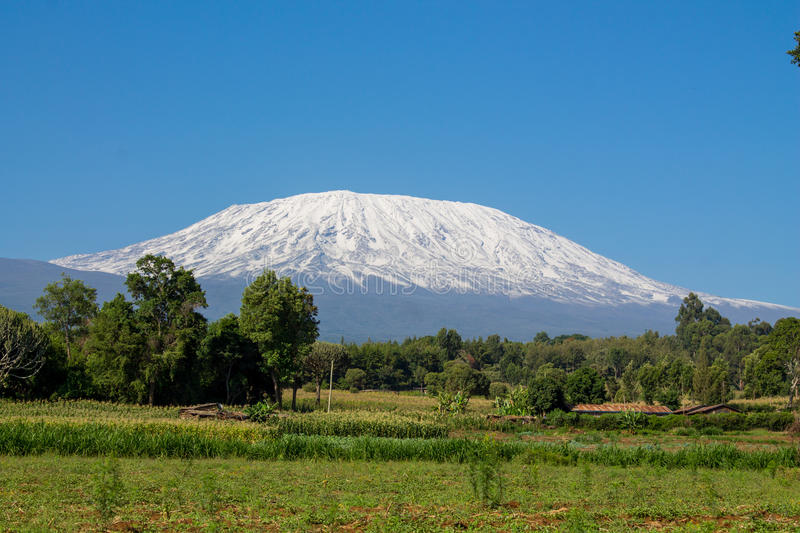高考必背单词800高频词打印表,高考必背单词句子