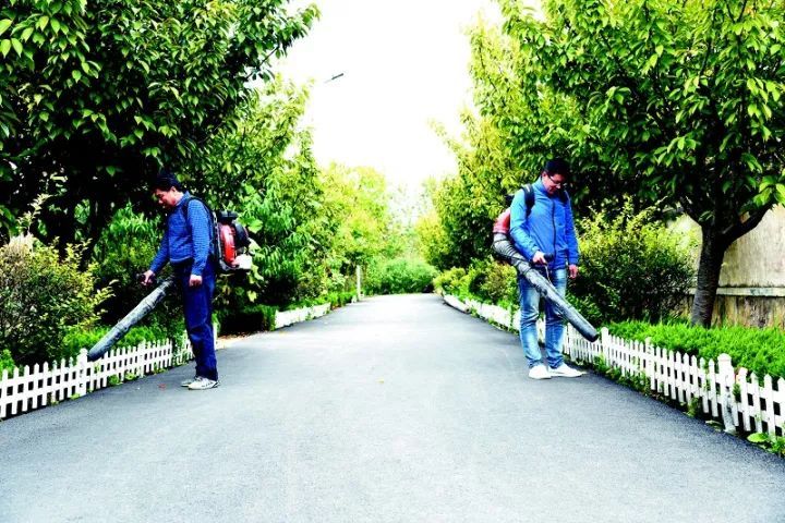 西海岸新区下一个浦东,青岛市西海岸新区发展趋势