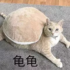 csgo枪皮肤有属性加成吗,csgoak贵皮肤