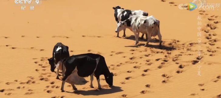 航拍中国宁夏详细景点,航拍中国宁夏详细笔记