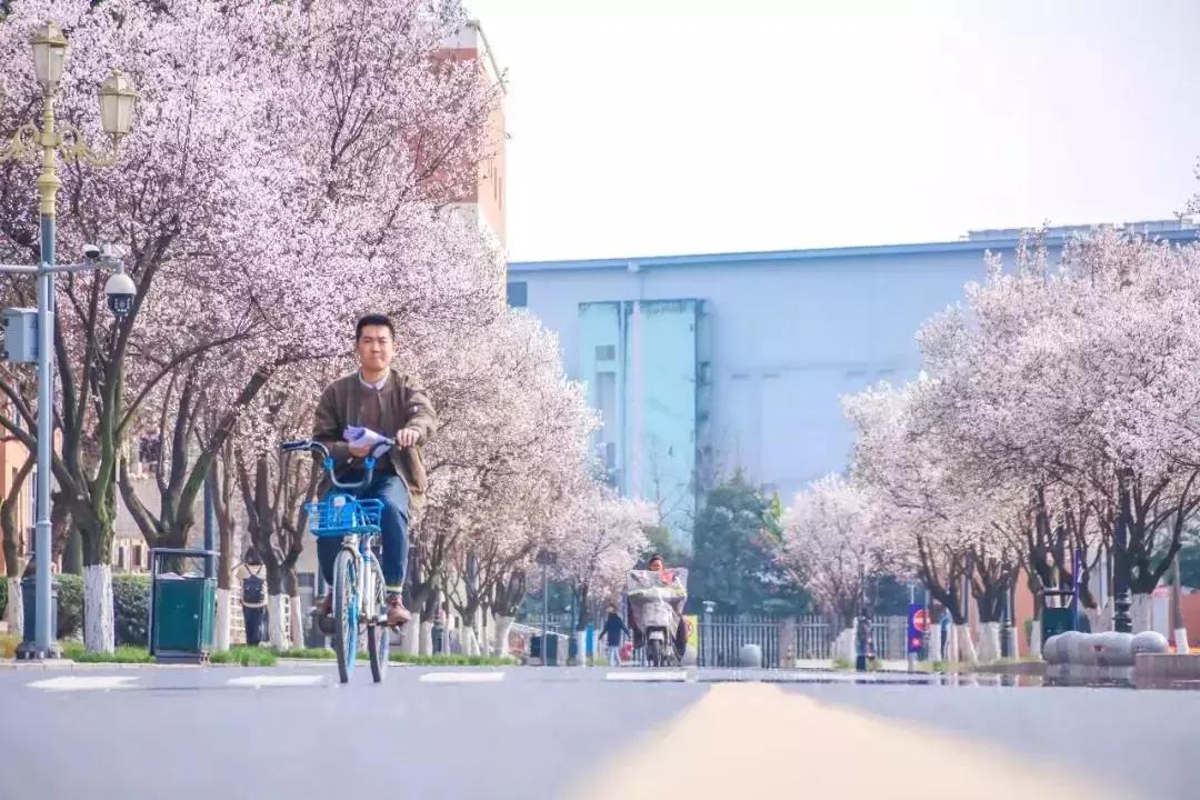 一头扎进春天里云南,美如仙境的西南民大