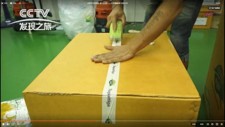 娜帕蒂卡家纺厂家,娜帕蒂卡最新消息