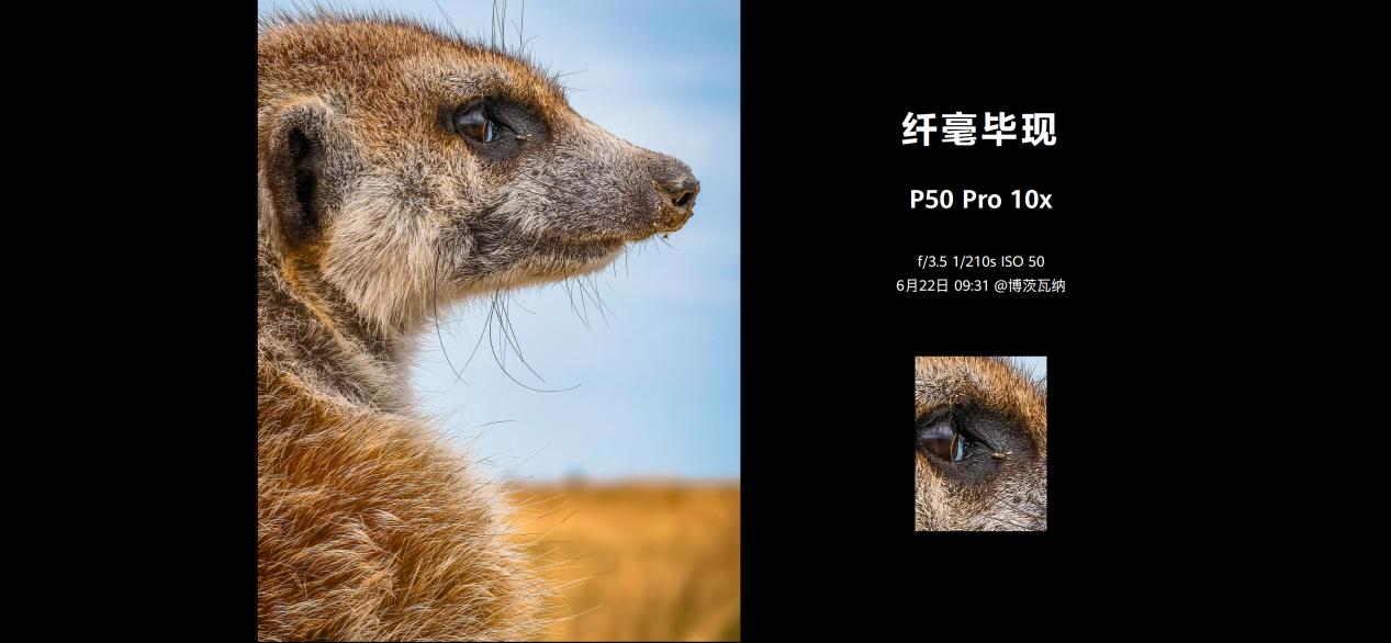 五分钟带你了解华为p50,华为p50全面解剖分析