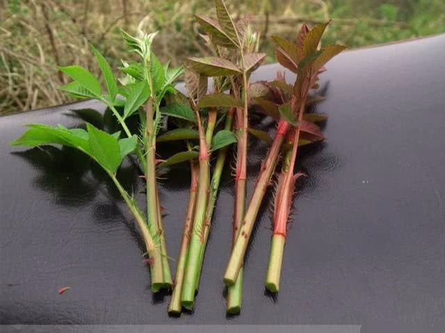 带你寻找记忆中的童年,我的童年既是怎样的又是怎样的