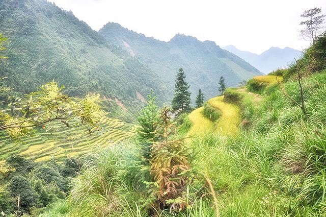 韶关丹霞梯田图片,韶关旅游梯田攻略图片