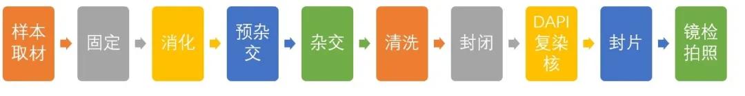 基因位置判断及实验设计题及答案,基因位置的判断及实验设计