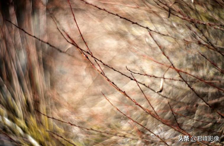 徕卡sl相机视频,徕卡sl最新款