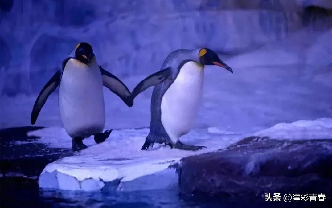 津南六月游玩攻略,这个季节去哪里旅游最好旅游攻略