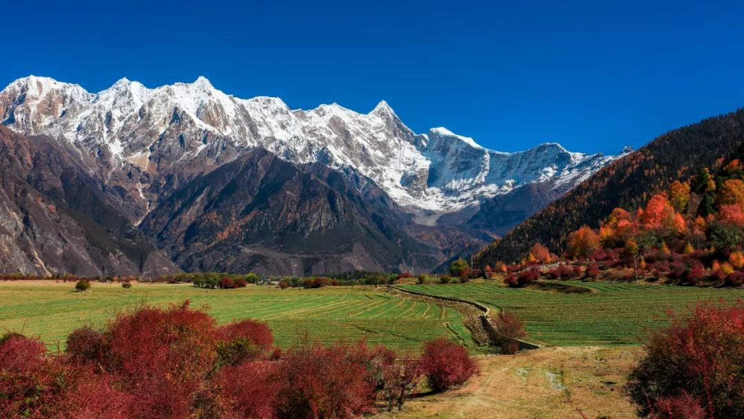 拉林铁路有哪些高铁站,拉林高铁美景