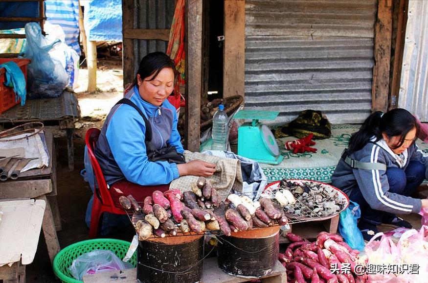 趣味又热门的冷知识大全,新鲜冷知识视频教程