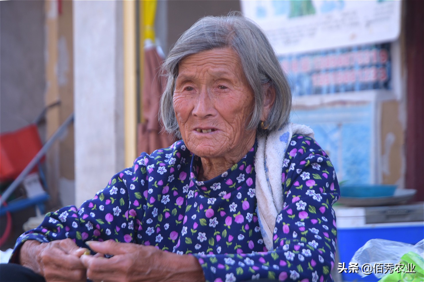 农村4个未来5年吃香的行业,未来三年农村有4个致富行业