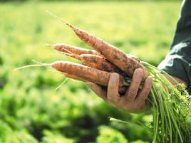 德国hipp喜宝婴儿面霜,德国hipp喜宝奶粉