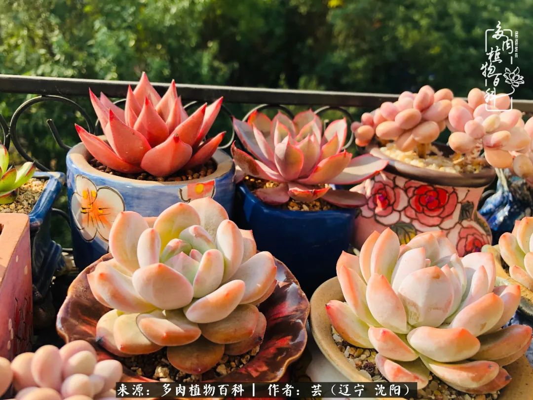 万物皆有灵性有因必有果,万物皆有灵性与生命