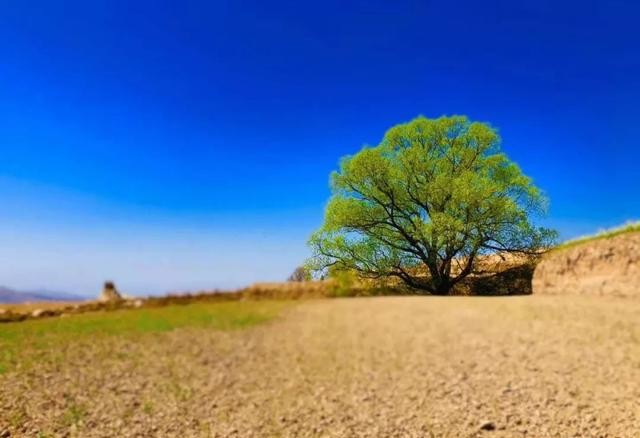 中国县城现状深入调查,中国县城现状原文