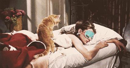 夏日的浪漫洗衣液香味持久留香,真丝护色洗衣液桑蚕丝专用