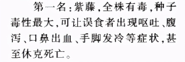 目前蜜蜂养殖中比较普遍的用法,什么蜜源蜜蜂最好养