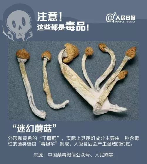 公安破获销售毒品案,贩卖毒品360克被抓