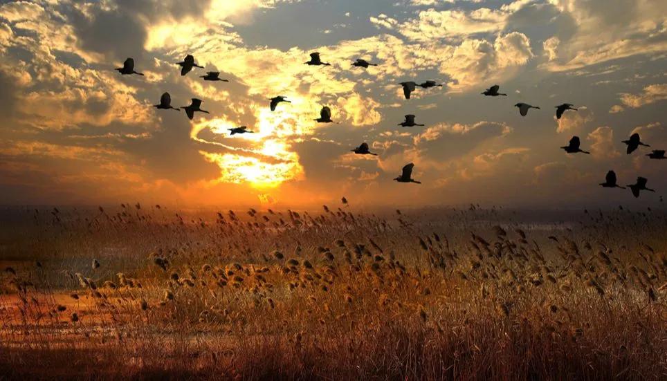 宿迁定居的优缺点,宿迁居住环境