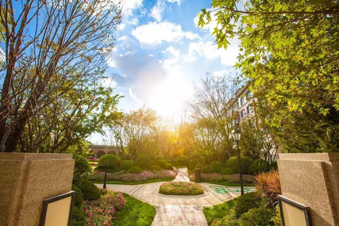 沈阳市张士,沈阳铁西张士哪个是改善楼盘