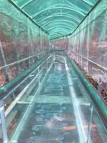 云南旅游热点排名前十,云南旅游繁忙之都