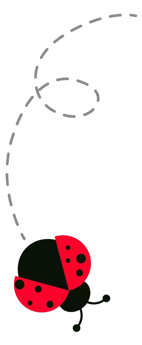 济州岛自由行详细攻略,济州岛自由行超实用攻略