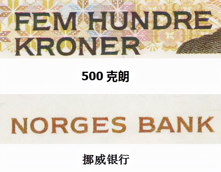 挪威钞票上比鲁迅小一岁的美女作家,因写了一篇小说获得诺贝尔奖