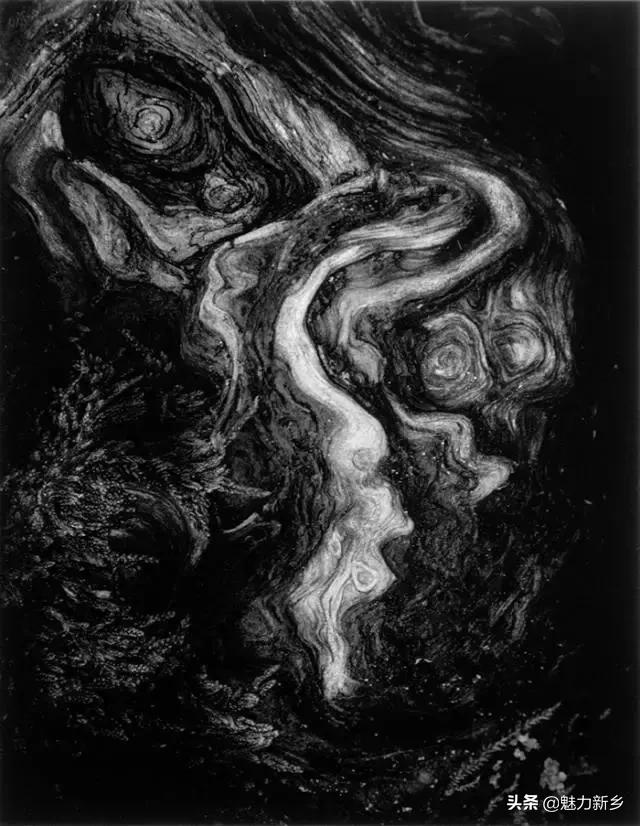 摄影技巧都有哪些方面的内容,1个摄影秘诀4个摄影技巧