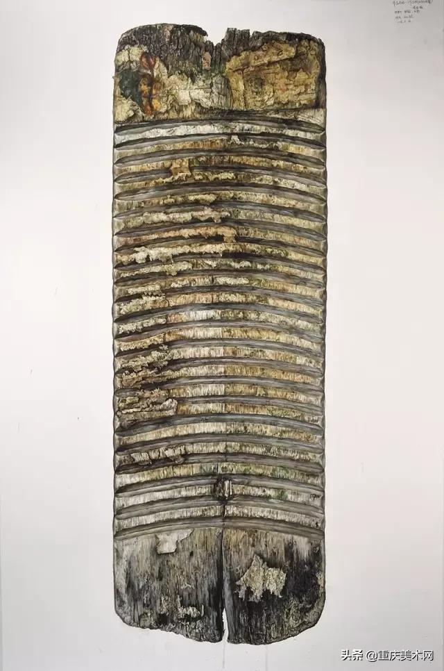 中央美术学院精微素描,中央美术学院全国素描第一名