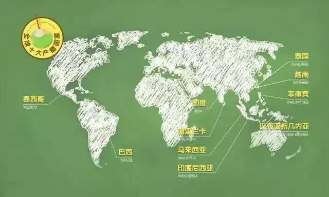 小众好喝的椰汁,小众椰汁品牌排行