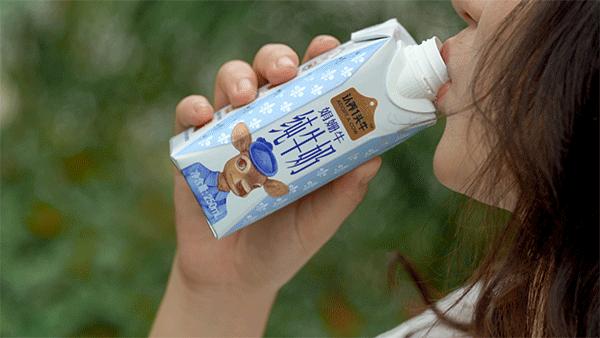 千万网红推荐的牛奶真的好喝吗,网红最好喝的纯牛奶