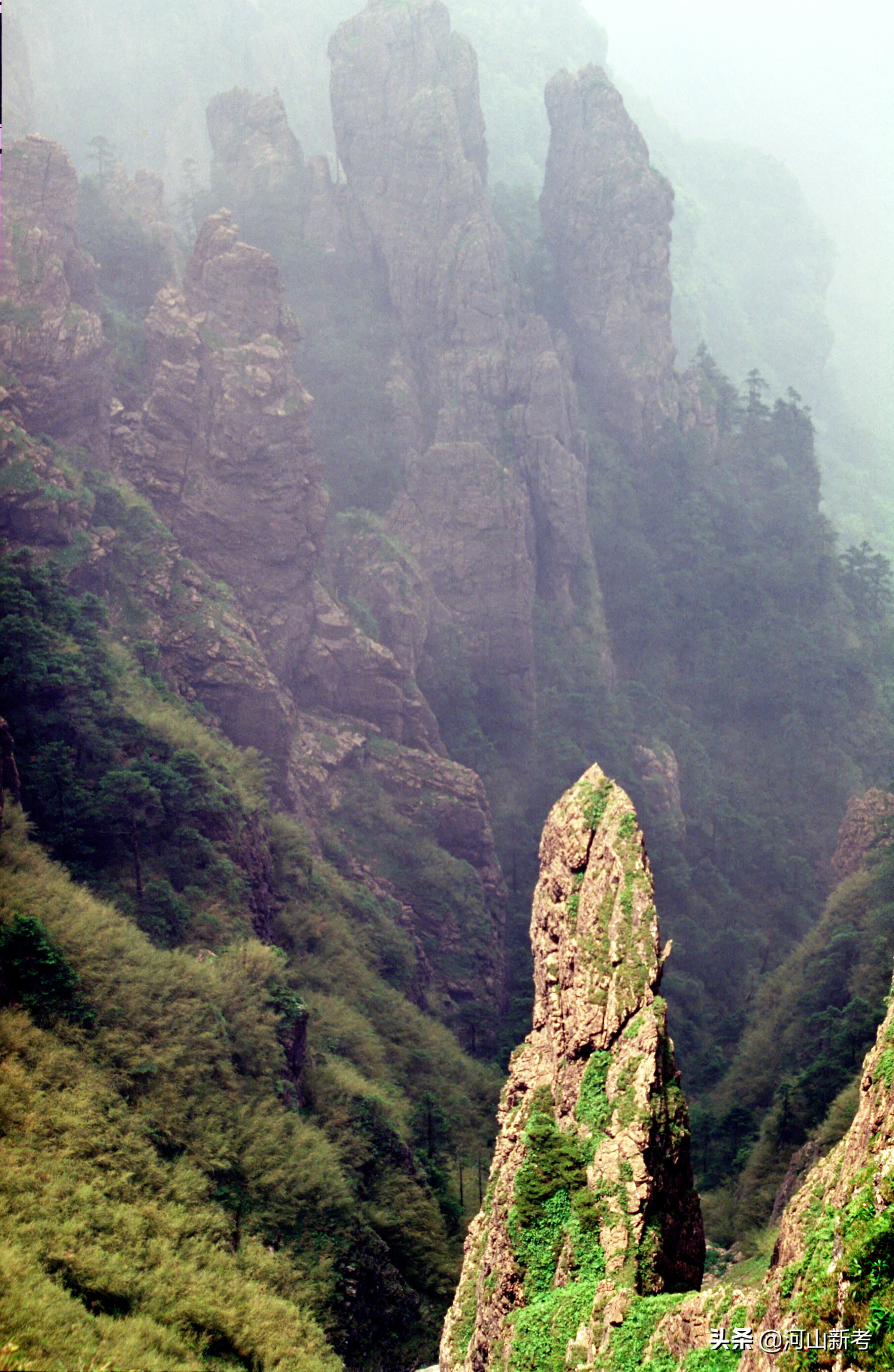 寻找野人的张金星现在如何,张金星神农架野人