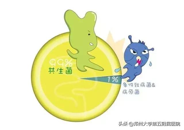 关于肠道微生态的故事,肠道微生态的重要性和调理方法