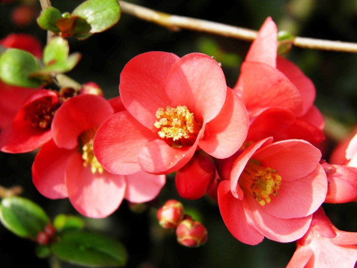 打动人心的走心句子语录,抚慰人心的句子句句透彻值得分享