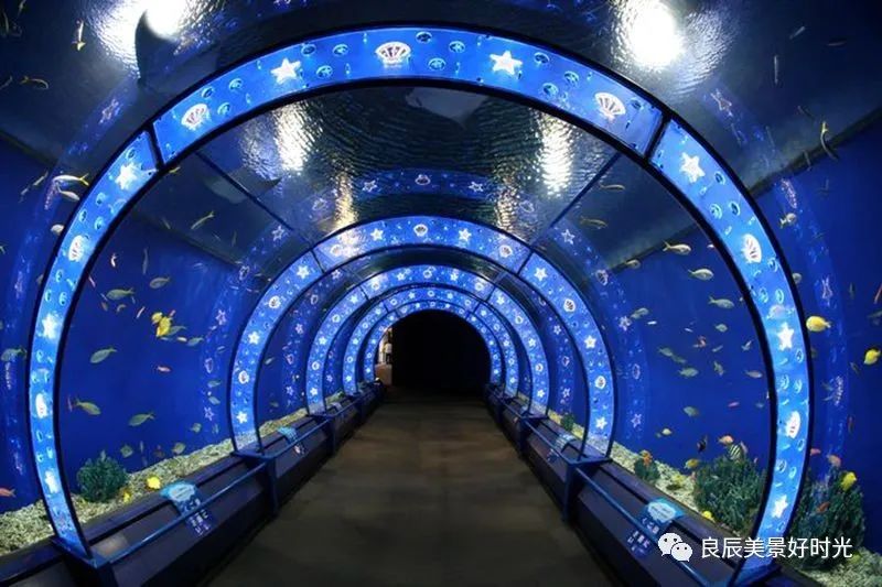 大阪ose期货国内可以交易吗,大阪osaksa食堂