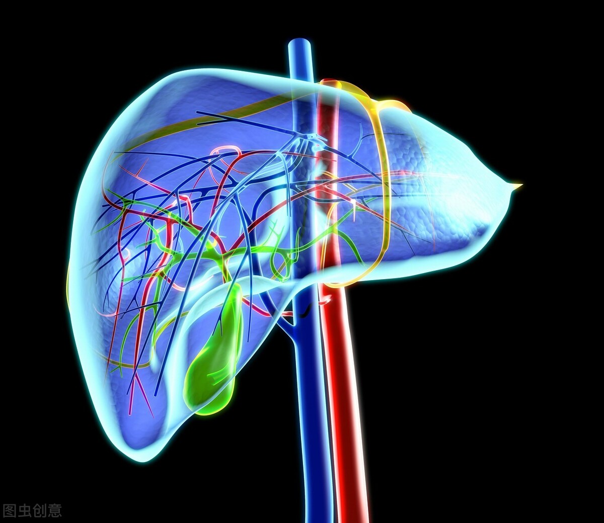 高胆固醇血症和高脂血症的患病率,儿童胆固醇高的表现