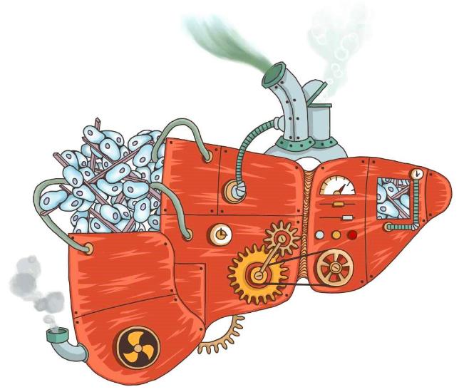 上海仁济医院东院区治疗肝硬化,上海仁济医院治肝硬化