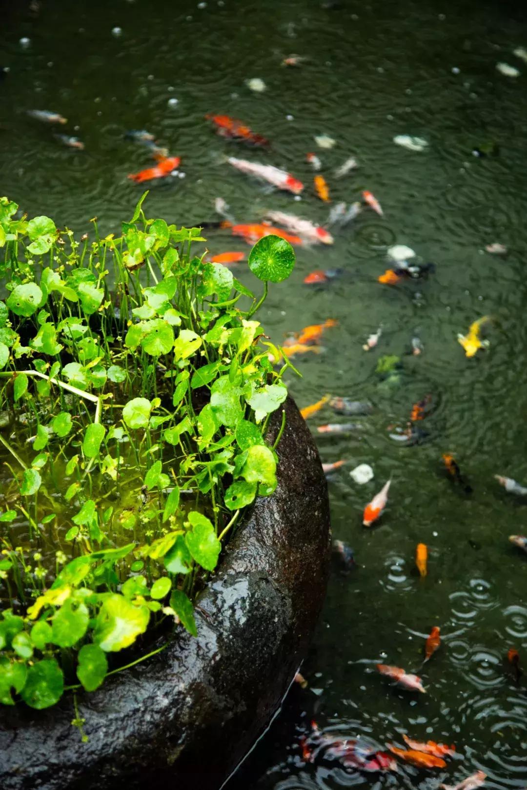 像御温泉的度假村,御温泉花园会所