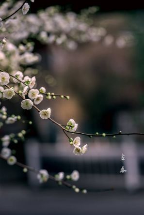 古诗词中立春的诗词有哪些,写春的古诗赏析和感悟