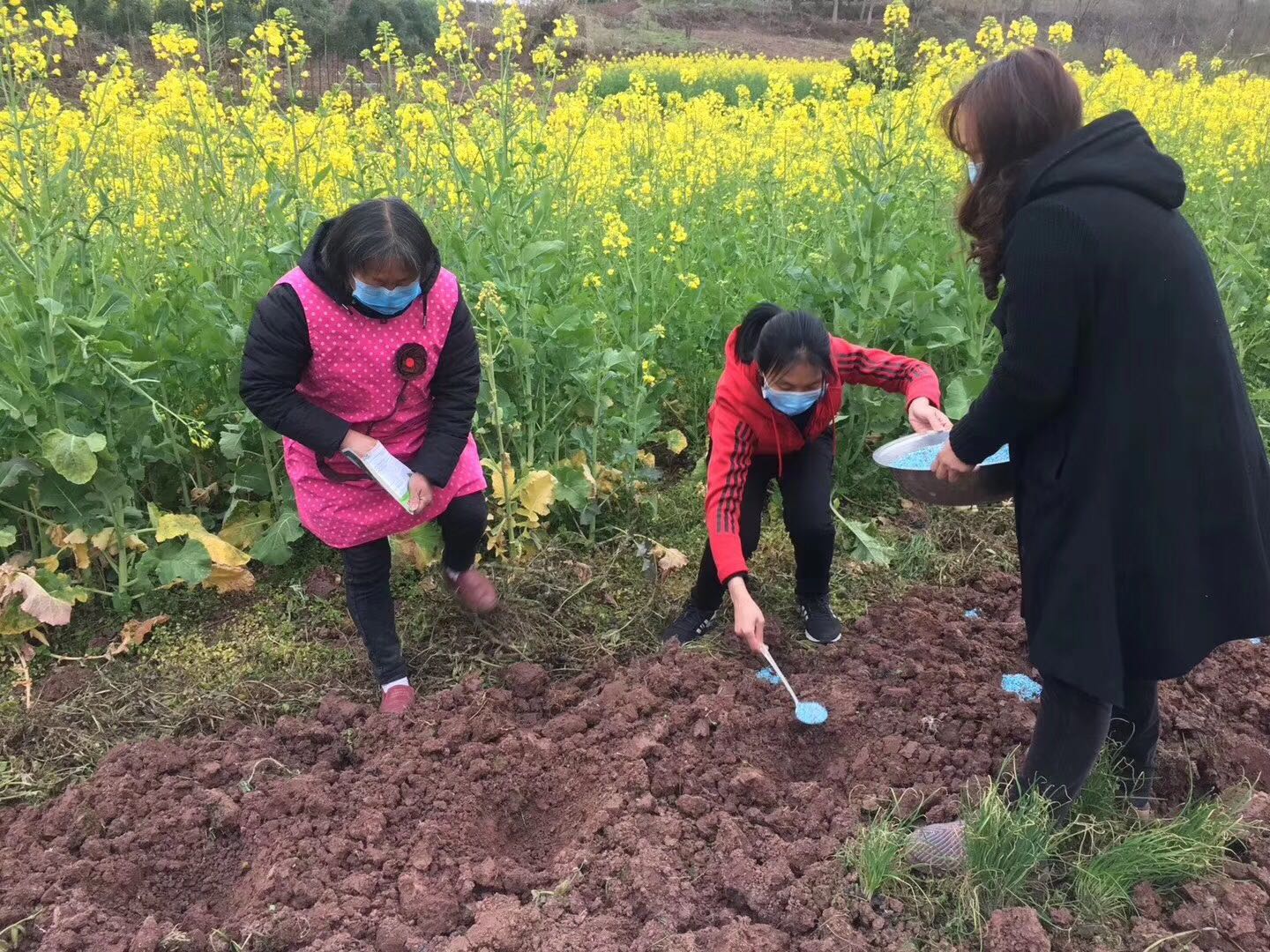 铁娘子在疫情防控中的作用,铁娘子疫情