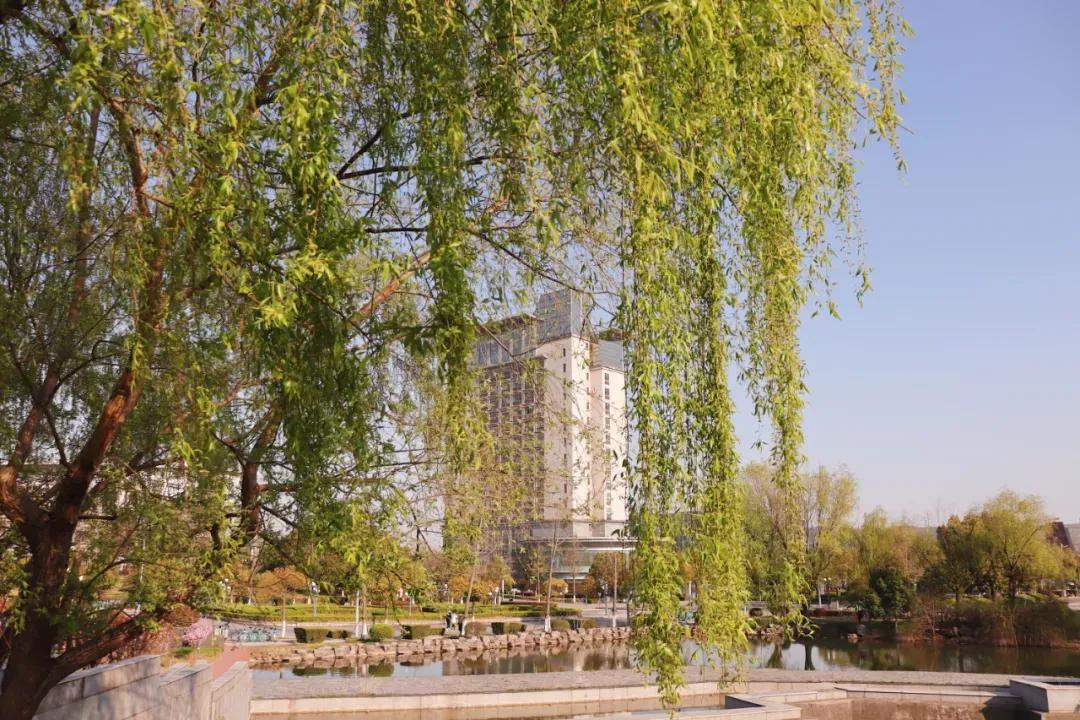 江苏财经大学,南京财经大学双非院校排名