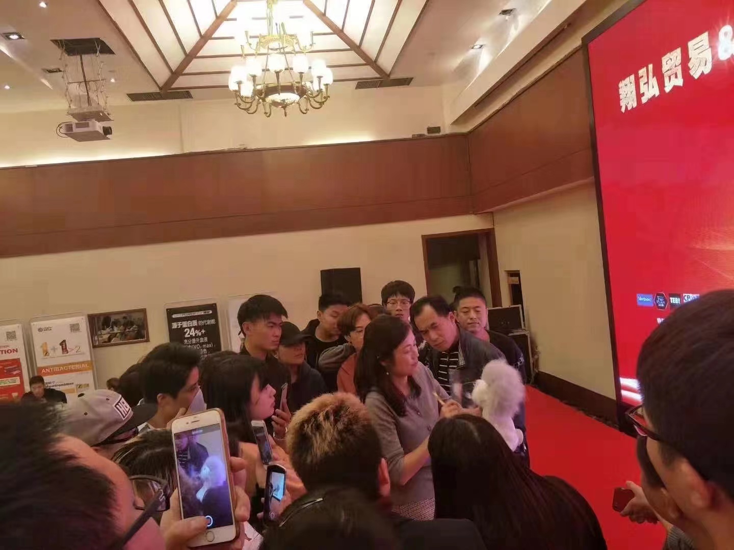 福宠展宣传视频大全,福宠展哈士奇