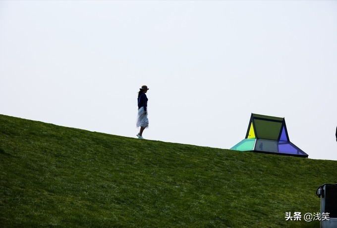 芬芳之人方能遇到芬芳之心，郁金香开成了荷兰花海