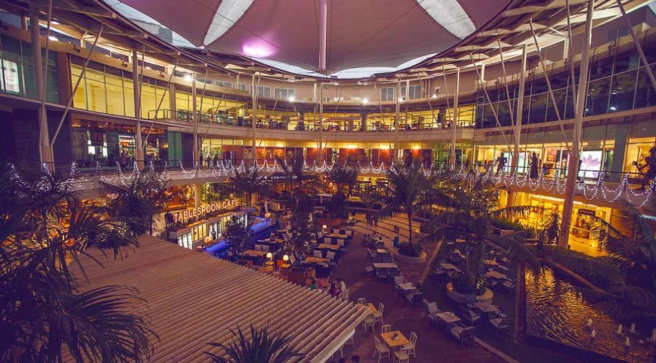 龙虾没人吃,龙虾不吃东西