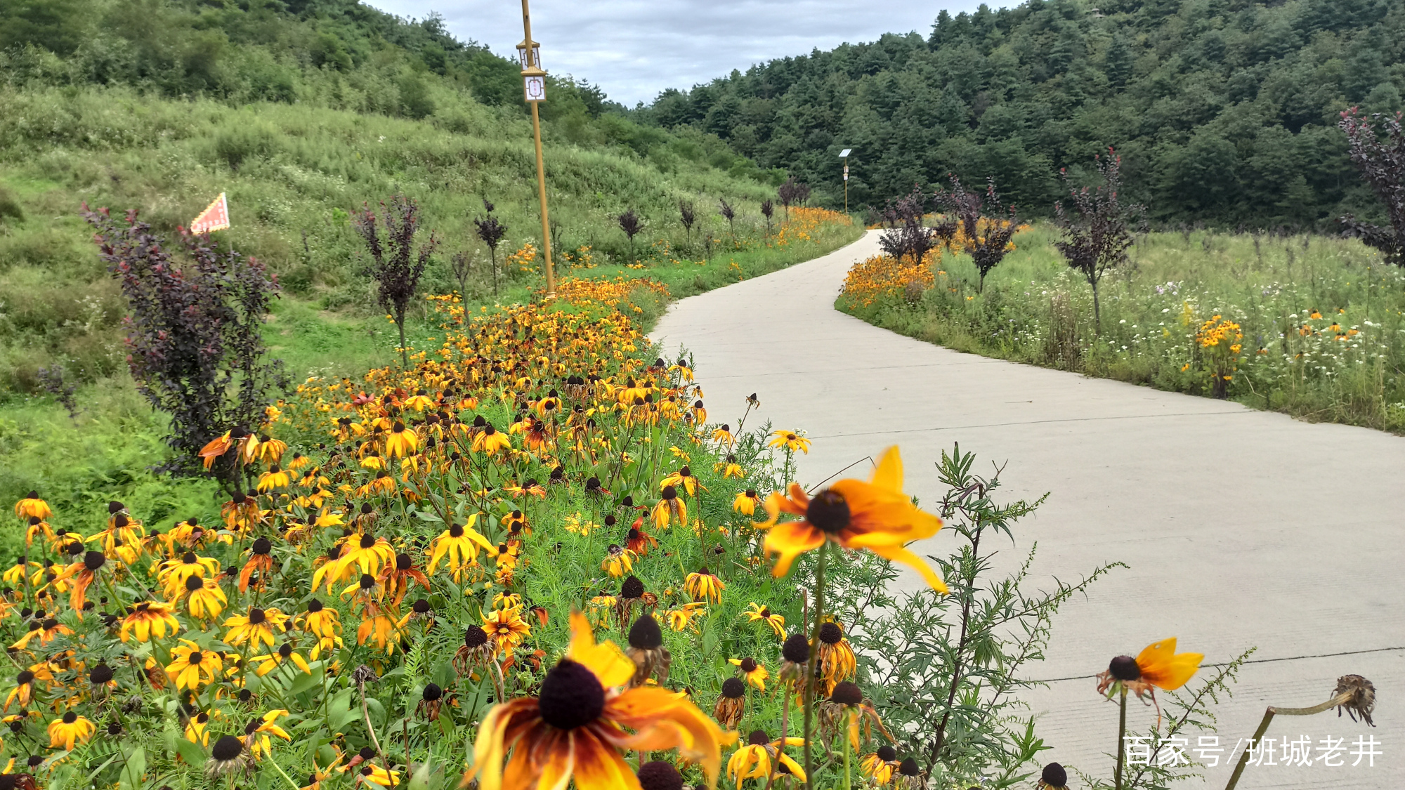 镇巴县草坝景区旅游攻略,陕西镇巴草坝旅游景点