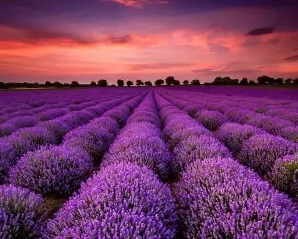 讲好黄河故事传承河洛文化,讲好黄河故事传承黄河文化内容